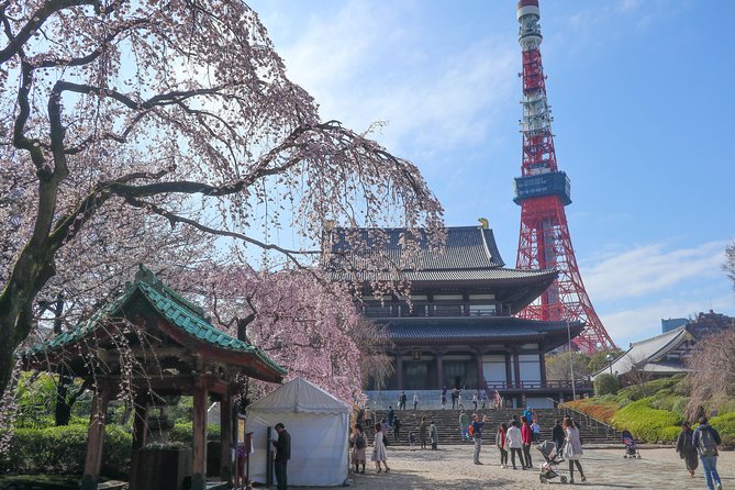 5-Hour Tokyo & Edo Hidden Gem Bike Tour With Lunch - What to Expect on Tour