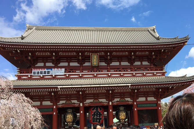 6-Hour-Tour Tokyo Highlights - What to Expect on Tour