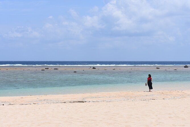 Amami Oshima Island Nature Highlights Day Tour - Nature Wonders of Japan