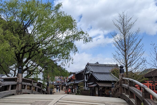 Chartered Private Tour - Tokyo to Nikko, Toshogu, Edo Wonderland - What to Expect From Guides