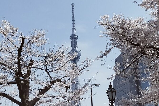 Cherry Blossom Highlights, Asakusa, Ueno, Imperial Palace Garden - Exploring Asakusas Hidden Gems