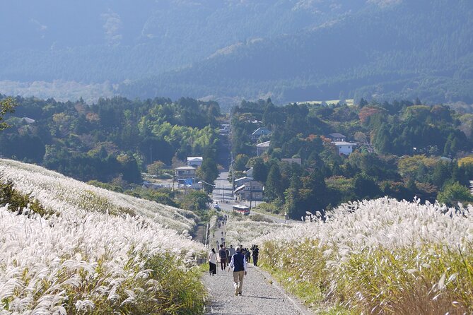 Easygoing Nature Walk in Hakone Tour - Hakone Nature Walk Essentials