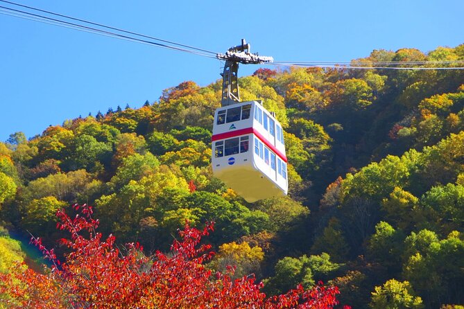 From Takayama: Alpine Splendor - Shinhotaka Ropeway and Kamikochi - Scenic Ropeway Ride Awaits