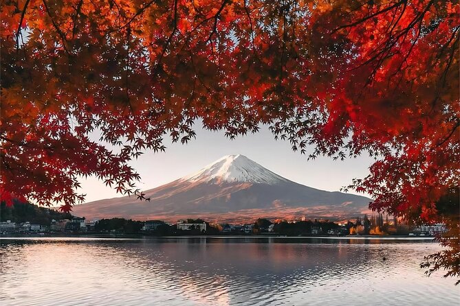 From Tokyo to Mount Fuji Instagram Worthy Full Day Tour - Meeting and Pickup Details