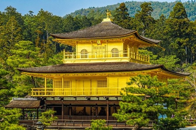 Full Day Kyoto Chartered Taxi Tour - Benefits of a Private Tour