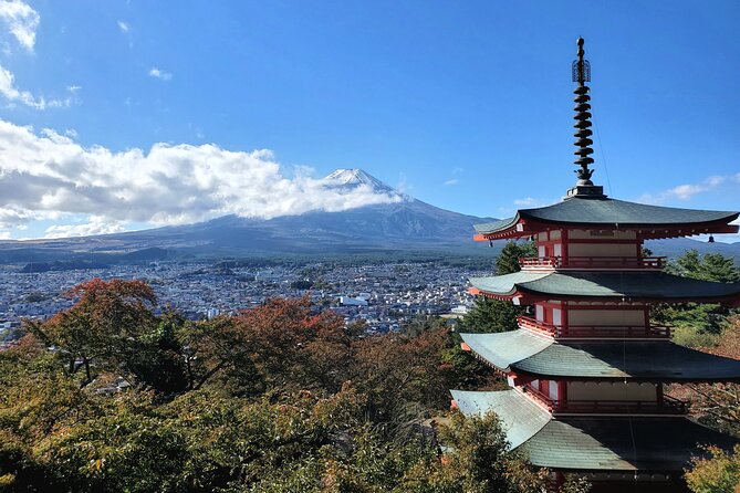 Full Day Mount Fuji Private Tour With English Speaking Guide - Customizable Itinerary Options