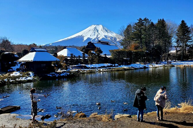 Full Day Private Guided Tour Mt. Fuji and Hakone - Mt. Fuji and Hakone Itinerary