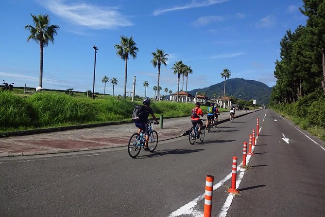 Guided Hybrid Bike Tour in Shizuoka City (Note: Not E-Bikes) - Exploring Mount Fuji by Hybrid Bike