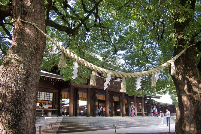 Harajuku & Shibuya Highlights: Tip-Based Tour - Shibuya Crossing Secrets