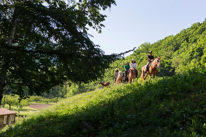 Horseback-Riding in a Country Side in Sapporo - Private Transfer Is Included - What to Expect From the Tour