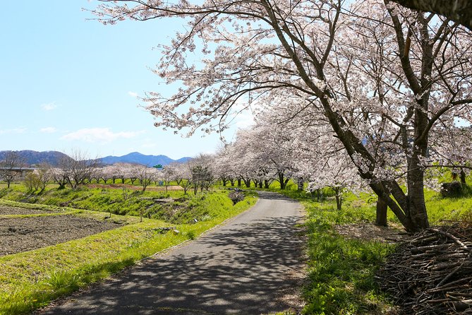 Japans Rural Life & Nature: Private Half Day Cycling Near Kyoto - Exploring Ancient Temples and History