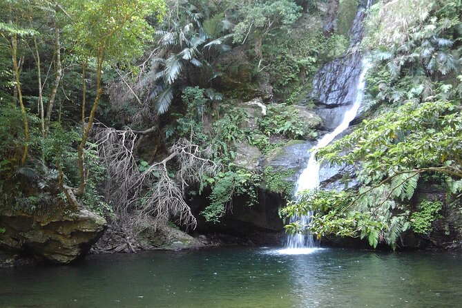 Jungle River Trek: Private Tour in Yanbaru, North Okinawa - Trek Essentials and Preparations