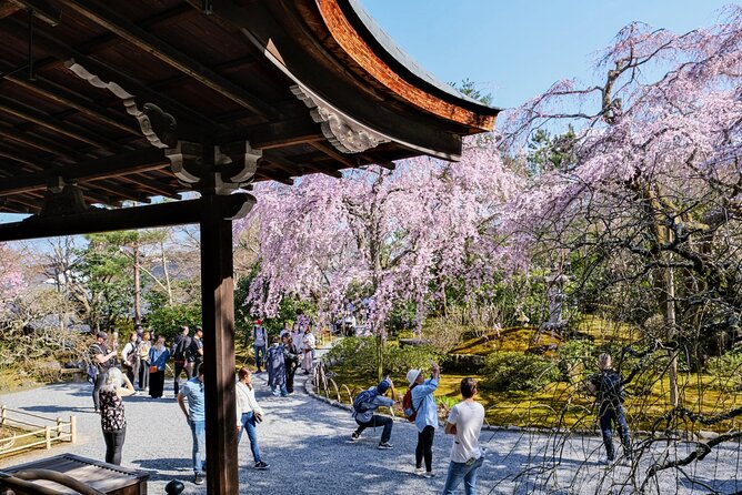 Kyoto Day Tour Tenryu-ji Temple Arashiyama Grove and Kinkaku-ji - Discovering Arashiyama Grove