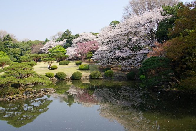 Licensed Guide Shinjuku Dramatic Tour Day Time (Tokyo) - Meeting and Ending Points