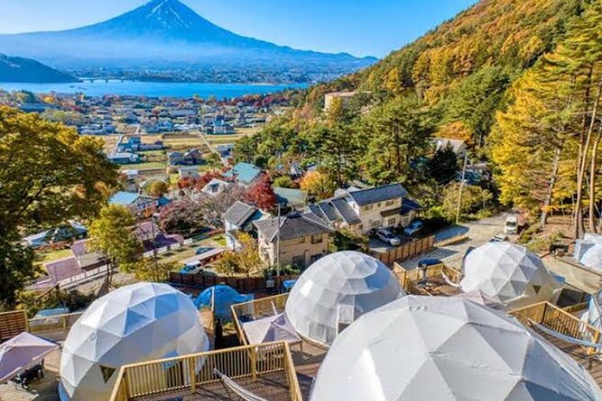 Mount Fuji and Hakone Private Tour With English Speaking Driver - Customizing Your Itinerary