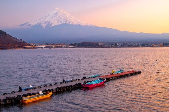 MT Fuji and Hakone Private Group Tour (Upto 9 Persons) by Hiace - Vehicle and Accessibility Features