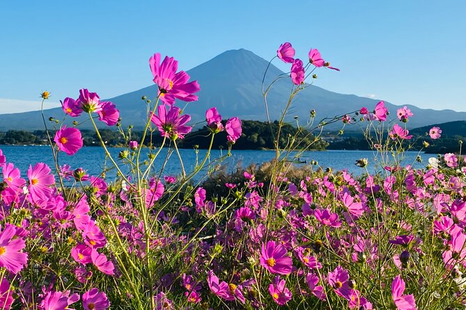 Mt.Fuji Hakone Private Tour With English Speaking Chauffeur - Meeting and Pickup Points