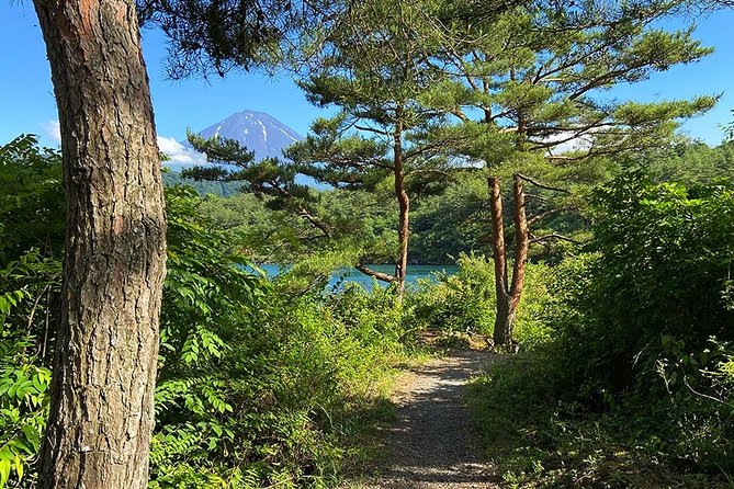 Mt Fuji Japanese Crafts Village and Lakeside Bike Tour - Biking Around Saiko Lake