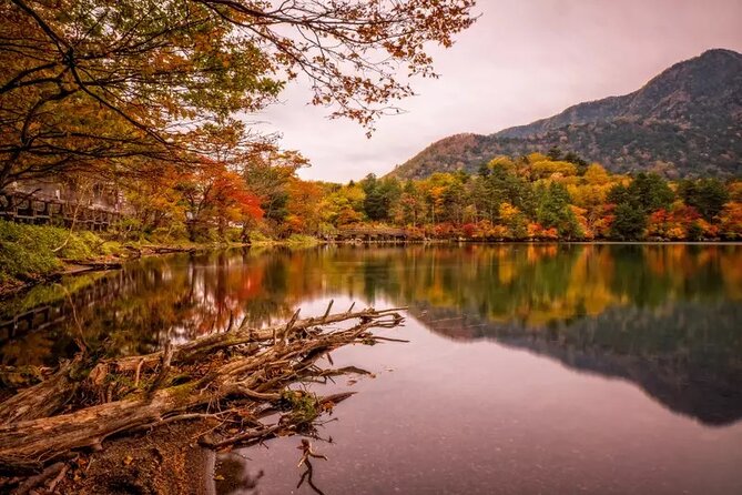 Nikko Day Tour Private With English Speaking Driver - Meeting and Pickup Details