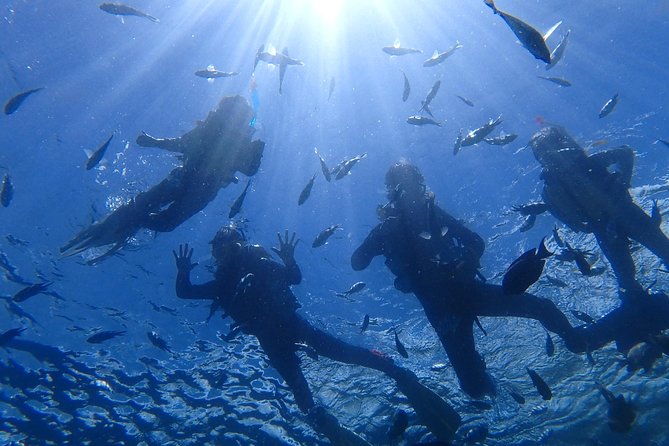 Popular Blue Cave Snorkel! [Okinawa Prefecture] Feeding & Photo Image Free! English, Chinese Guide Available! - What to Expect on Tour