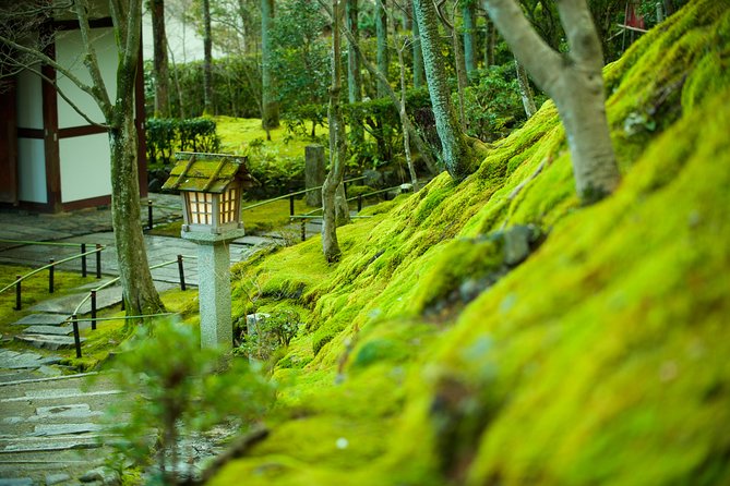 Private 3-hour Kyoto Arashiyama Rickshaw Tour - Rickshaw Ride Experience