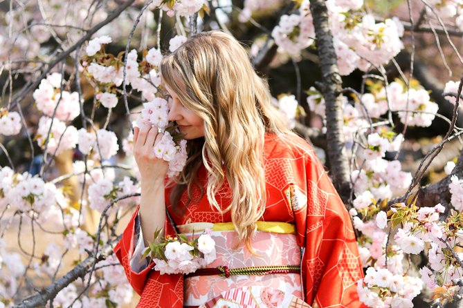 Private Kimono Photo Tour in Tokyo - Tour Details and Inclusions