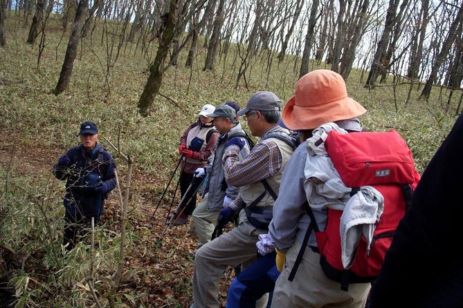 Relax and Refresh in Karuizawa Forest! Shinanoji Down Trekking Around Two People - Meeting Point and Accessibility