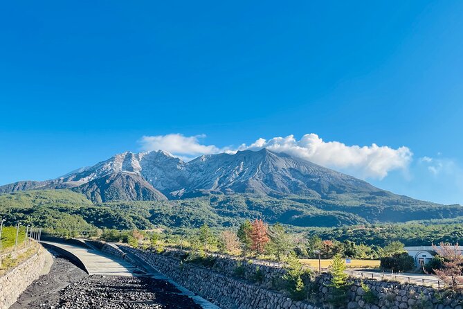 Sakurajima Off Limits Trail E-bike Tour - Meeting Point and Logistics