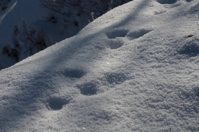 Snowshoeing at Lake Mashu Outer Rim of the Caldera - Meeting and Pickup Logistics