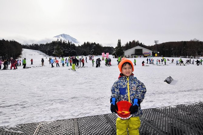 Strawberry Picking and Snow Experience at Mt Fuji Ski Resort for VIP - Snow Fun at the Resort