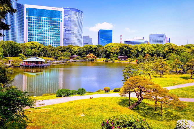 Tokyo Highlights Full-day Tour With A Licensed Private Guide - Popular Attractions and Landmarks