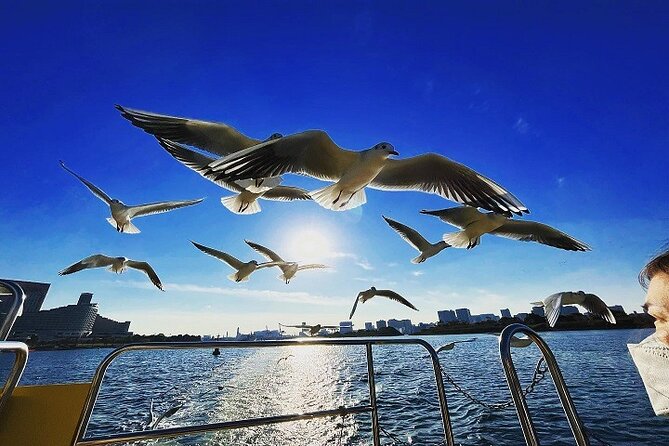 Tokyo Water Taxi Heritage Tour - What to Expect Onboard