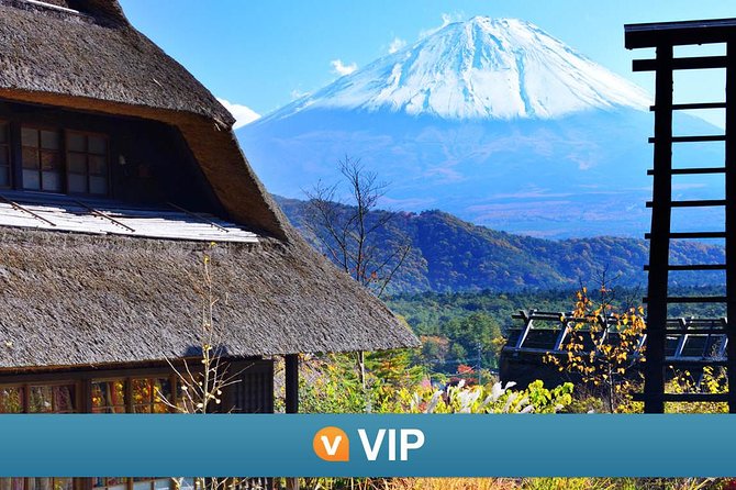 Vip: Mt Fuji Private Tour With Sengen Shrine Visit From Tokyo - What to Expect and Inclusions