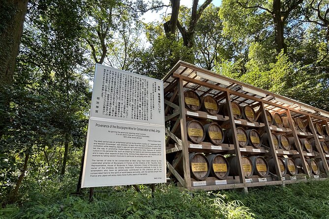 3 Hour Private Tokyo Meiji Jingu Shrine Wellness Tour - Tour Overview and Objectives