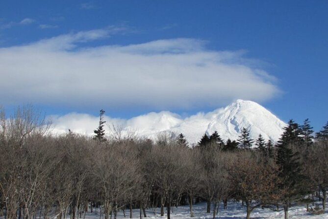 3 Hours Shiretoko Five Lakes Snowshoe Tour - Just The Basics