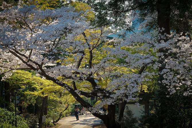 A Fun Day Out Discovering Kamakura - Delicious Food and Drinks