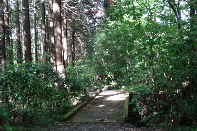 Easygoing Nature Walk in Hakone Tour - What to Expect in Hakone