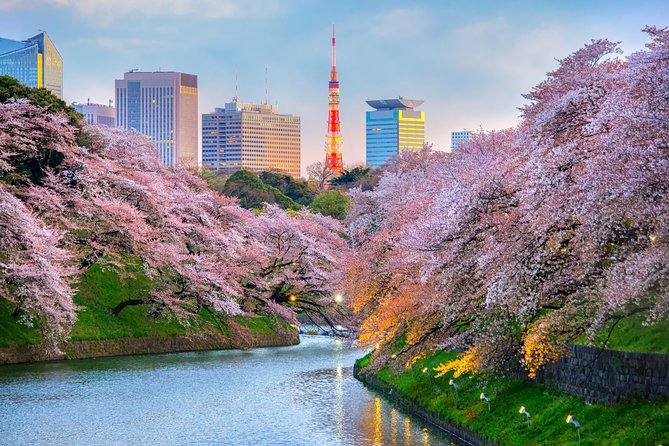 [Electric Bicycle Tour]: 6-Hour Travel Course by Electric Bicycle Asakusa, Ueno Park, Edo-Tokyo Museum, and Sky Tree. (There Is a Support Car.) - Meeting and Pickup Points