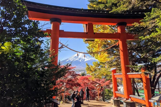 From Tokyo to Mount Fuji Instagram Worthy Full Day Tour - Inclusions and Exclusions Explained