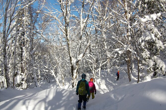 Frozen Fall Trekking - Booking and Cancellation