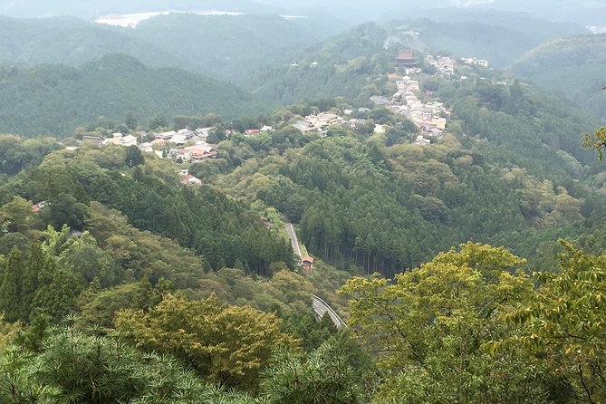 Full-Day Private Guided Tour in a Japanese Mountain: Yoshino, Nara - Navigating Transportation Options