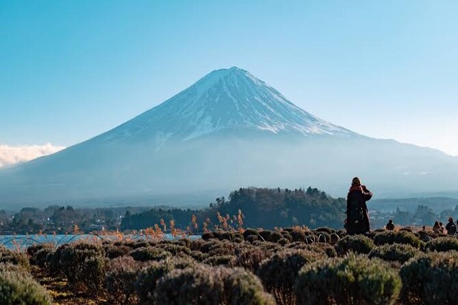 Full Day Private Tour With English Speaking Driver in Mount Fuji - Hotel Pickup and Dropoff Details