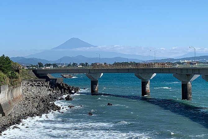 Guided Hybrid Bike Tour in Shizuoka City (Note: Not E-Bikes) - Pedaling Through Traditional Japan