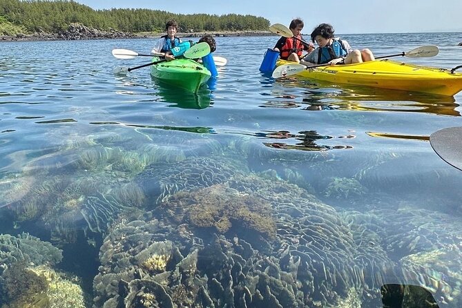 Half Day Kayak Adventure in Sakurajima Seascapes - Essential Information and Reminders