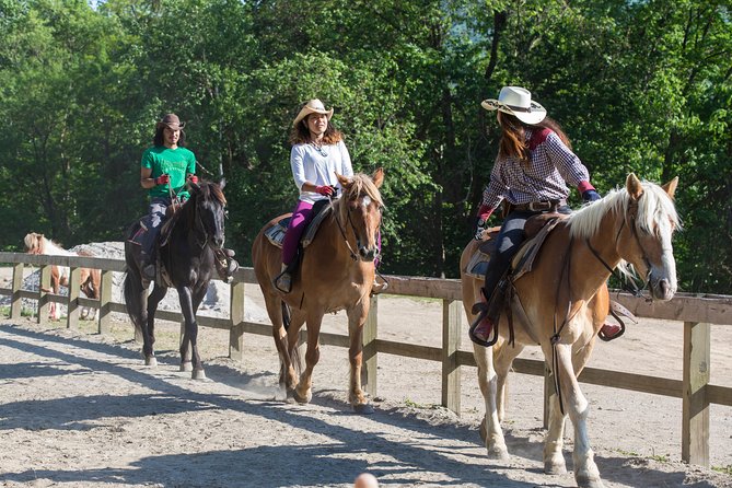 Horseback-Riding in a Country Side in Sapporo - Private Transfer Is Included - Practical Information and Tips