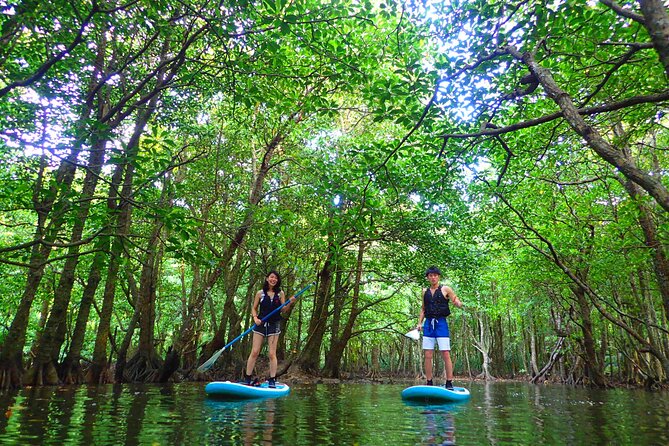 [Iriomote]Sup/Canoe Tour + Sightseeing in Yubujima Island - Cancellation and Refund Policy