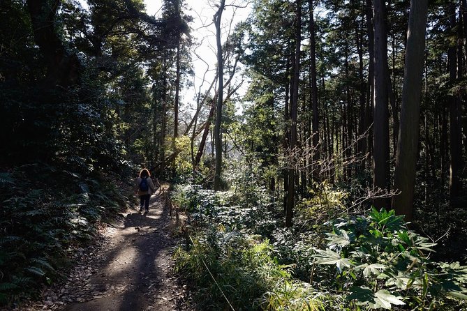 Kamakura One Day Hike Tour With Government-Licensed Guide - Tour Itinerary and Schedule