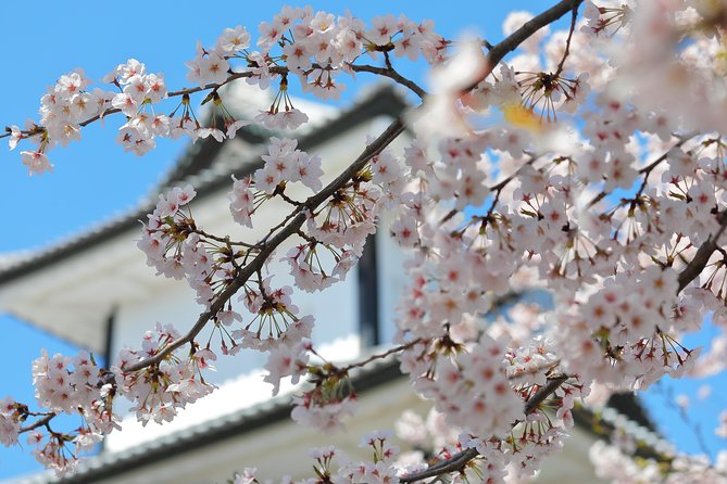 Kanazawa Private Half Day Photoshoot by Professional Photographer - Exploring Kanazawas Hidden Gems