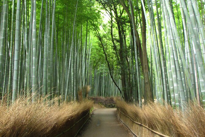 Kyoto Day Tour Tenryu-ji Temple Arashiyama Grove and Kinkaku-ji - Tour Inclusions and Exclusions