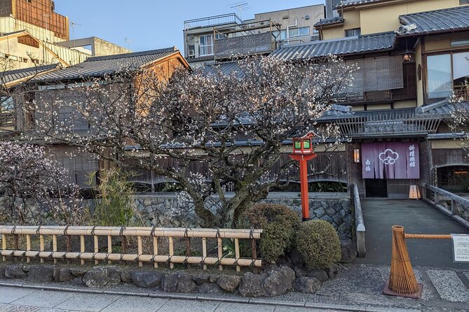 Kyoto-The City of the Dreams! - Exploring Cultural Landmarks